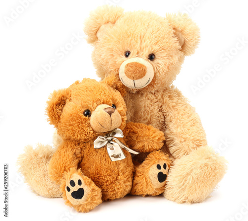 Two toy teddy bears isolated on white background © Eywa