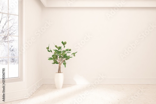 White minimalist empty room. Scandinavian interior design. 3D illustration