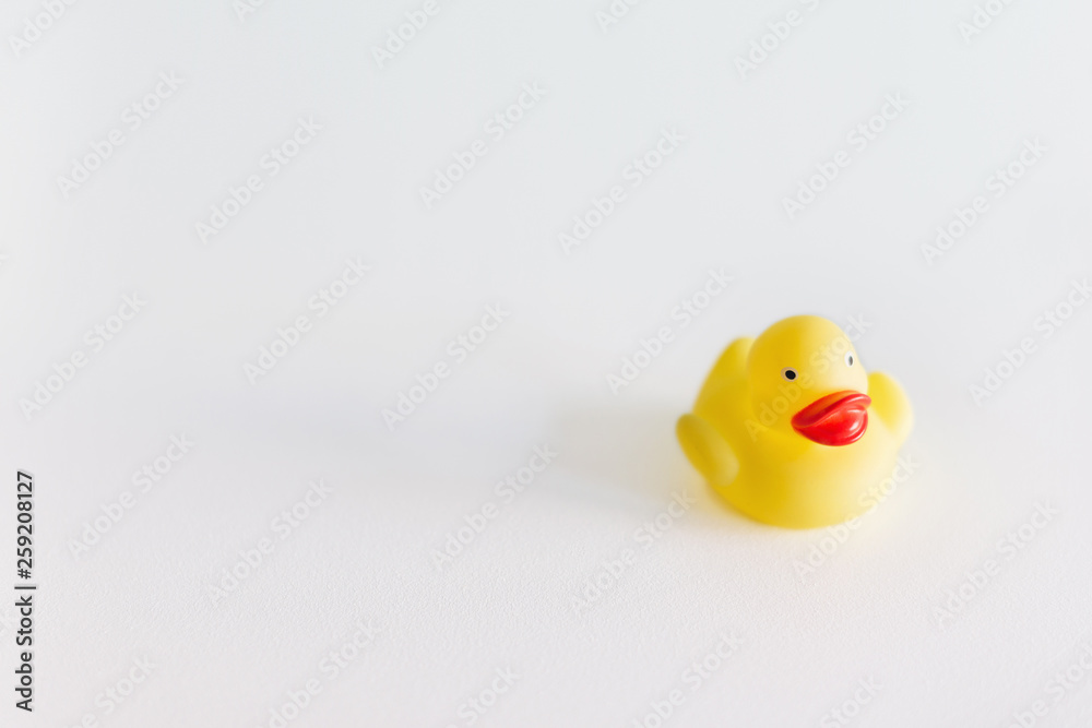 A yellow rubber duck isolated on white background. Bath toy with copy space for your text. A yellow rubber duck isolated on white background. Bath toy with copy space for your text.