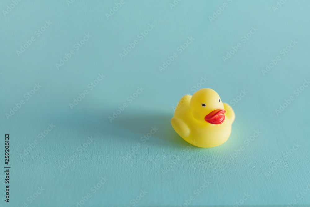 A yellow rubber duck isolated on blue background. Bath toy. A yellow rubber duck isolated on blue background. Bath toy.