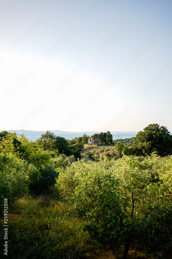 View from hill in Tuscany in Italy