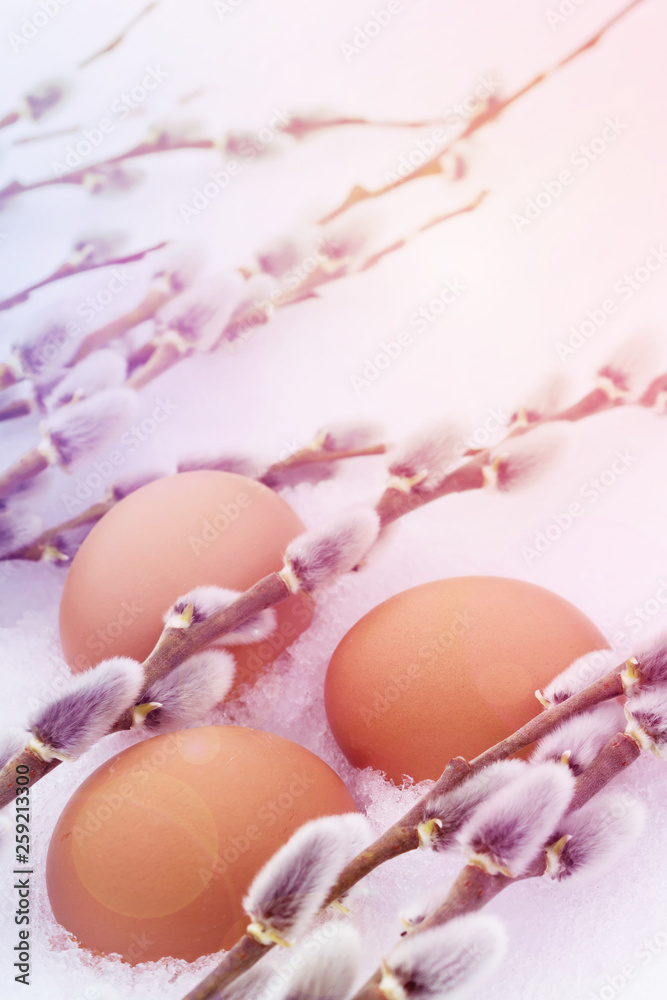eggs lie in the snow with willow branches in the rays of the dawn sun