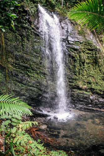 Waterfall in El Yunque National Forest in Puerto Rico  © Alisha