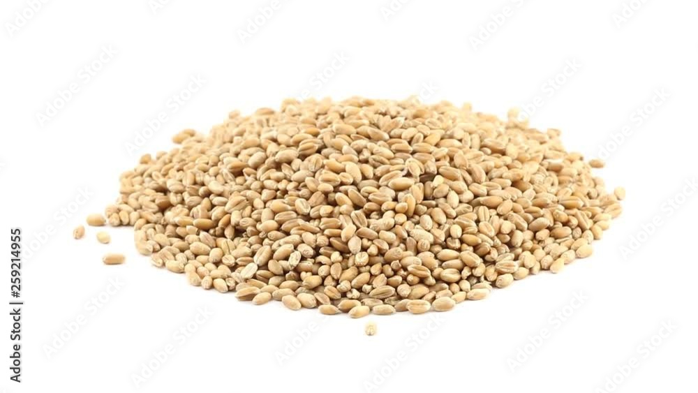 Heap of grains of wheat rotating on white Heap of grains of wheat rotating on white