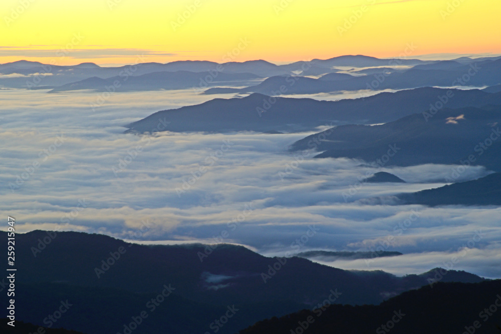 Fog lays around the valley of Clingman's Dome at sunrise.