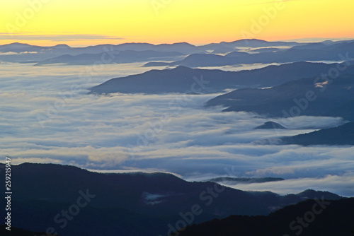 Fog lays around the valley of Clingman's Dome at sunrise. © bettys4240