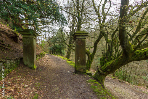 A view of a forest path trail with pilars entrance gate and trees under a white cloudy sky