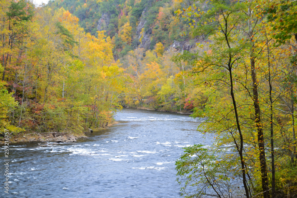 Scenic Pigeon River surrounded with fall colors. Scenic Pigeon River surrounded with fall colors.