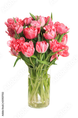 Bouquet of pink tulips in a glass vase isolated on white background.