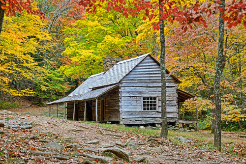 The Bud Ogle houseplace surrounded with yellow leaves in fall. © bettys4240