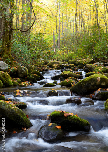 Small white water stream in the Smoky Mountains fall.
