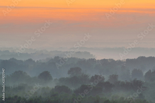 Fototapeta Naklejka Na Ścianę i Meble -  Mystical view from top on forest under haze at early morning. Mist among layers from tree silhouettes in taiga under predawn sky. Calm morning atmospheric minimalistic landscape of majestic nature.
