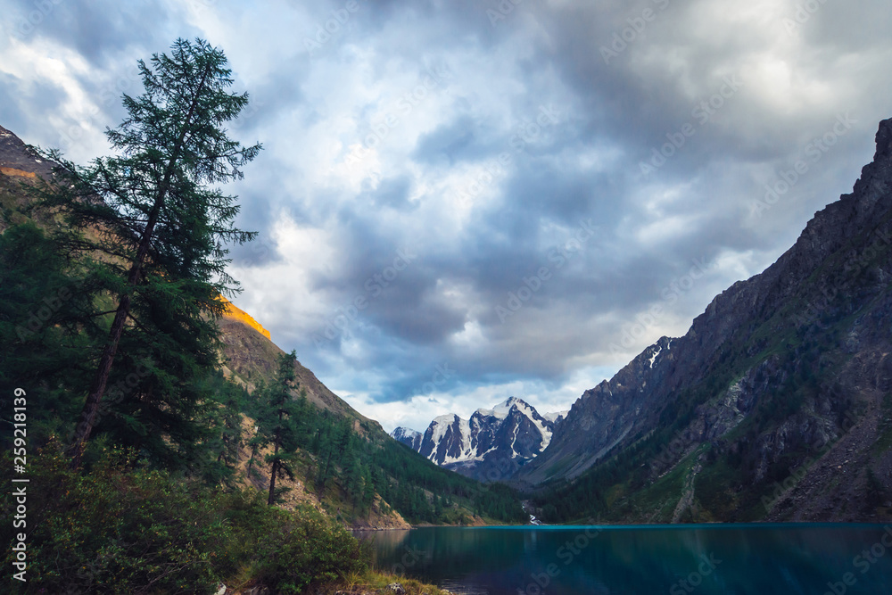 Fototapeta premium Wonderful mountain lake with view on giant glacier. Amazing huge mountains with conifer forest. Larch tree on water edge. Morning landscape of majestic nature of highlands. Cloudy mountainscape.