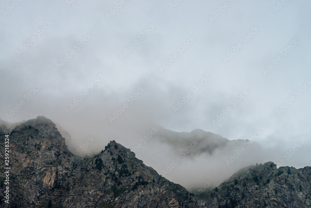 Ghostly giant rocks with trees in thick fog. Mysterious huge mountain in mist. Early morning in mountains. Impenetrable fog. Dark atmospheric eerie landscape. Tranquil mystic atmosphere of wilderness.