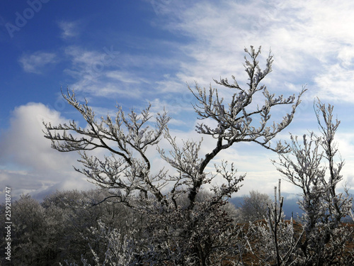 scenica natura ghiacciata in una giornata invernale photo