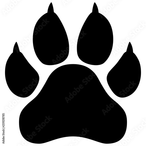 Wildcat paw print vector illustration photo