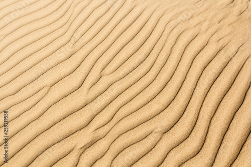 Lines of sand in the coast of Baltic sea