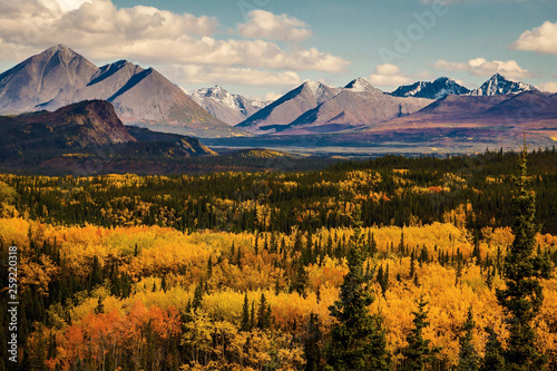 Autumn colors in Denali state and national park in Alaska photo