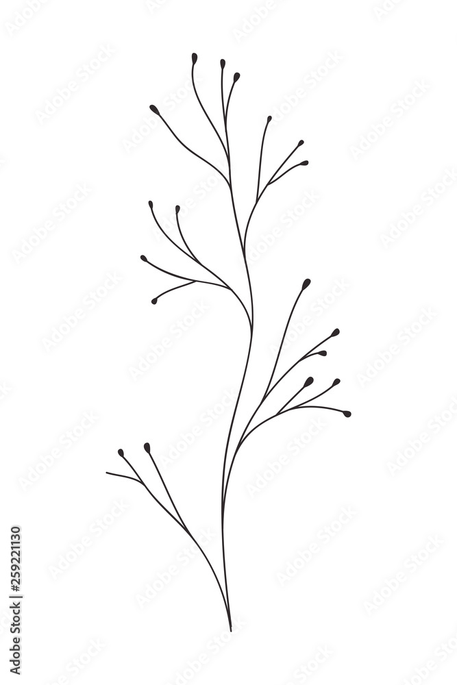 Fototapeta premium branch with leaves isolated icon