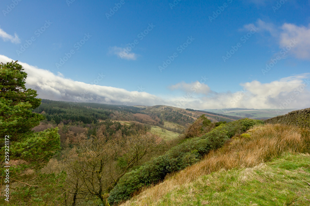 A view of valley with trees and green vegetation under a majestic blue sky and white clouds