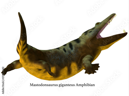 Mastodonsaurus Amphibian Tail with Font - Mastodonsaurus was an aquatic carnivorous amphibian that lived in Europe during the Triassic Period. photo