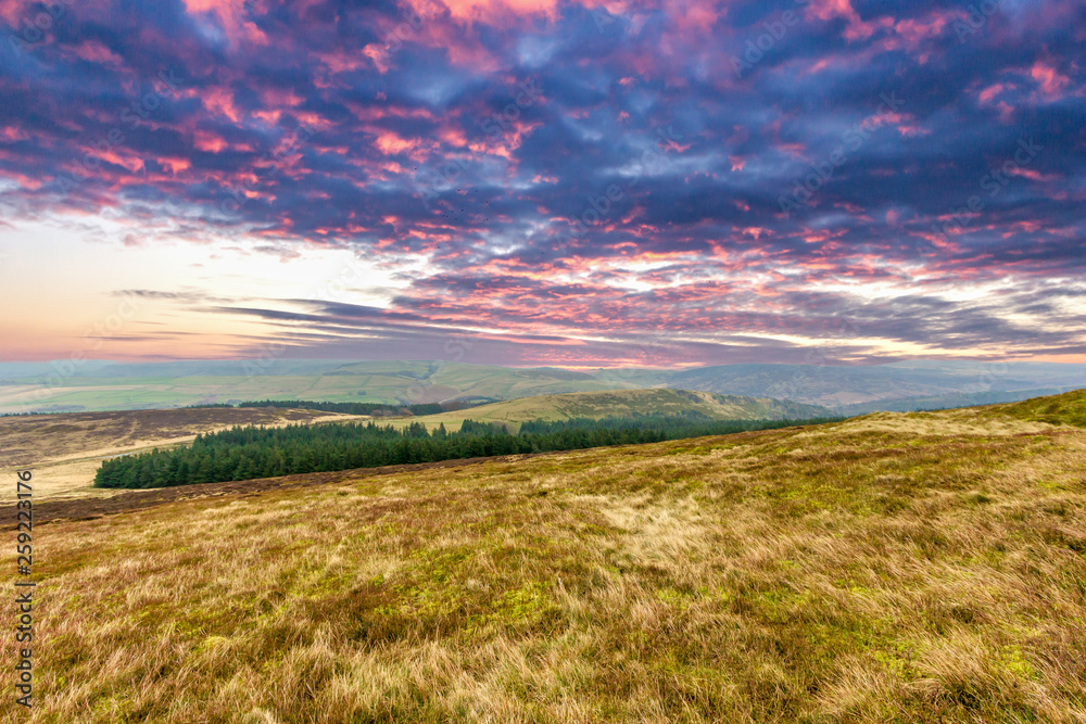 A view of a valley with grassy slopes and pine forest under a dramatic marble reddish sky