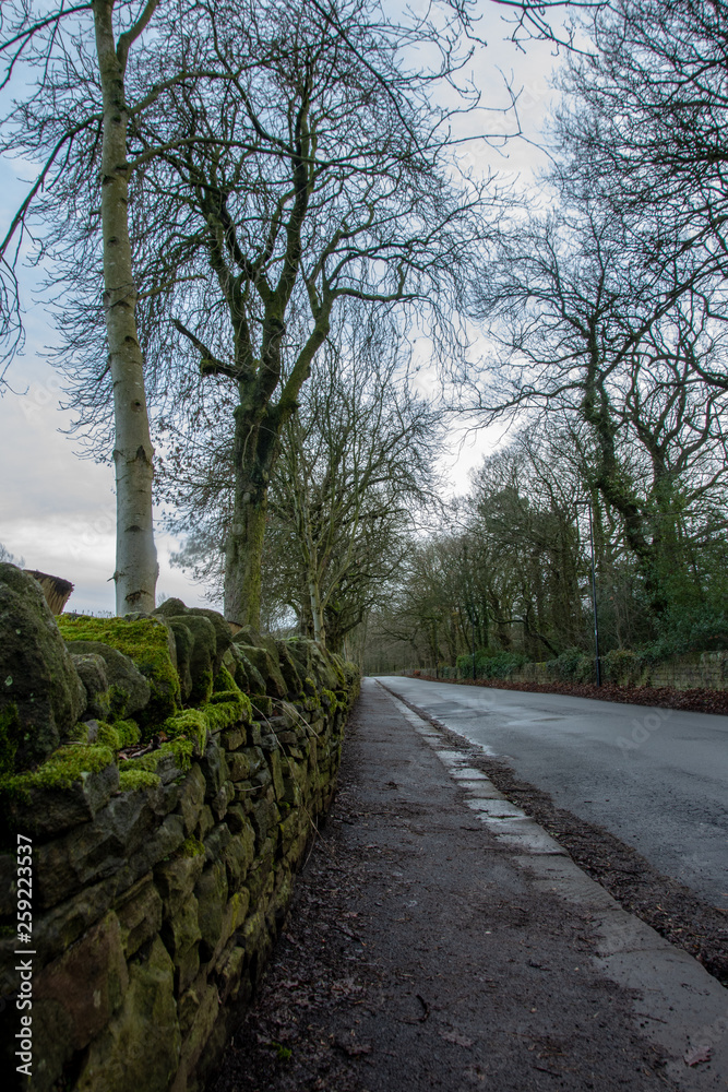 Britain country road 