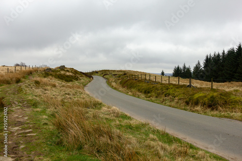 A view of a rural road lane with walking trail path  pine forest and green vegetation under a cloudy white sky