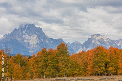 Scenic Autumn Landscape in the Tetons