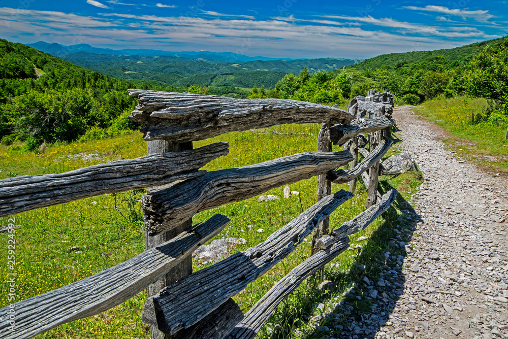 Scenic Grayson Highlands State Park in summer.