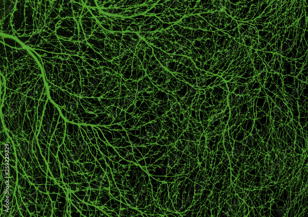 background and texture. beautiful graphic drawing. Thin branches on a contrasting background background and texture. beautiful graphic drawing. Thin branches on a contrasting background
