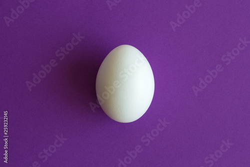 Top view of white egg isolated on purple creative abstract.