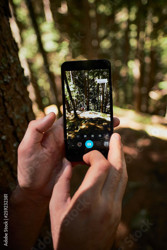 hands holding smartphone in the wood