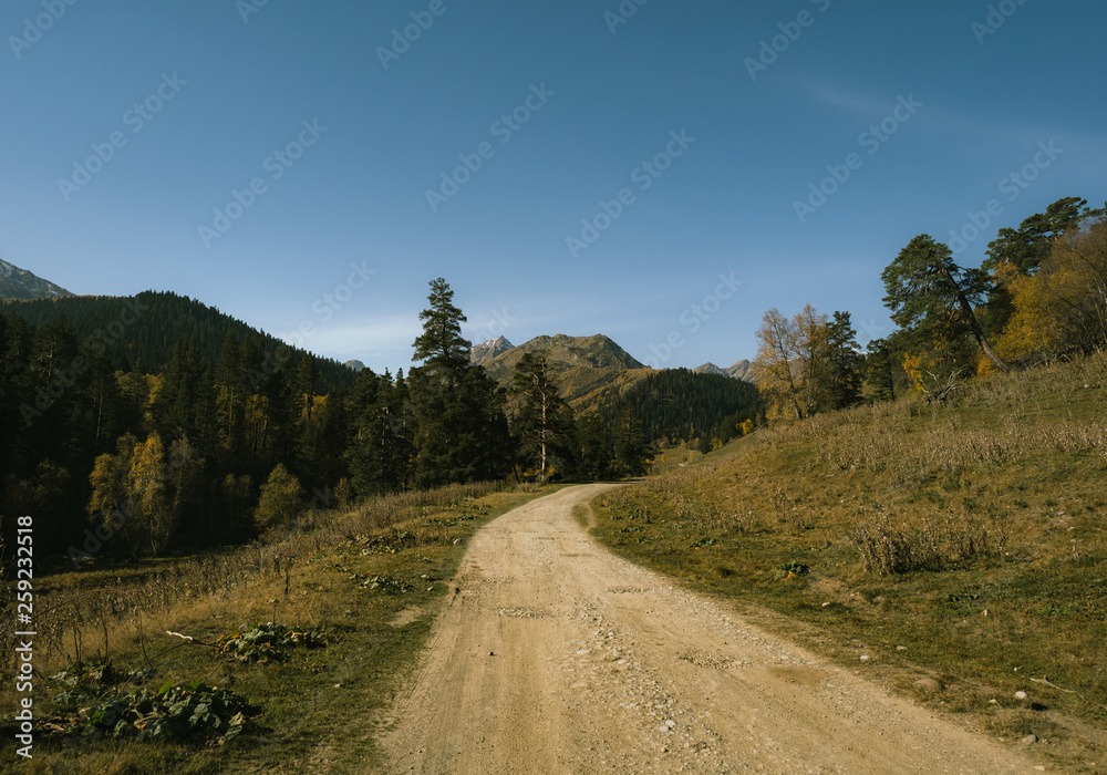 Fototapeta premium road in the mountains