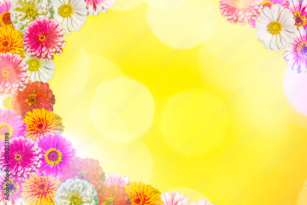 Bright festive yellow background with multi-colored zinnias