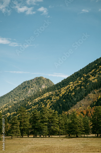 Fototapeta Naklejka Na Ścianę i Meble -  mountains in autumn