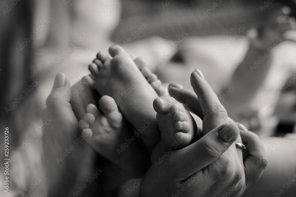 Mother holding twin babies feet Mother holding twin babies feet