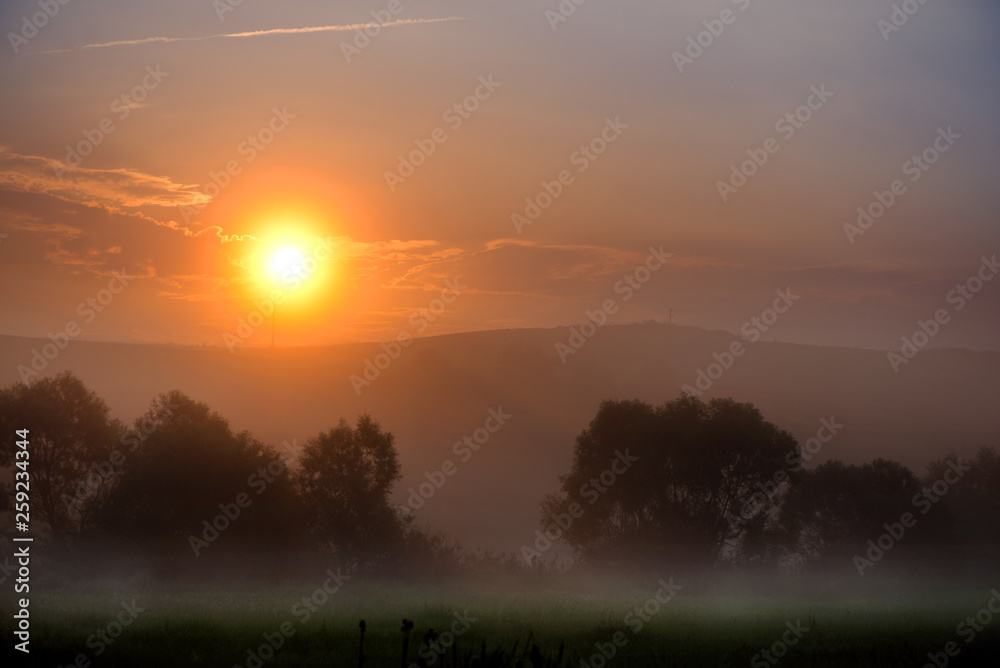 Fototapeta premium Beautiful morning in mountains. Thick fog covering the hills. Sunlight and rays trying to break through haze and trees