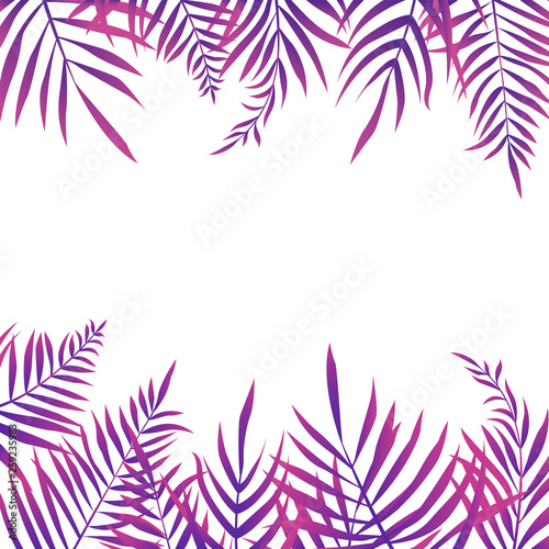 Exotic tropical palm leaves background. Template for a card with space for text. Vector illustration.