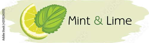 Mint and lime. Drawing for label design