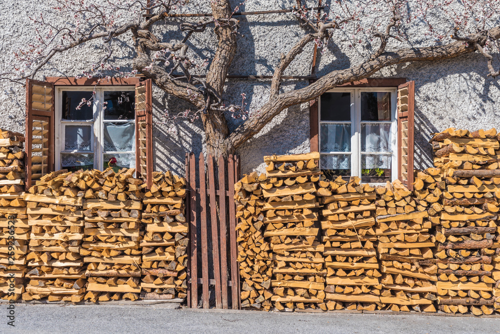 Holzstapel an Hauswand mit Spalierbaum und Holzkastenfenster Holzstapel an Hauswand mit Spalierbaum und Holzkastenfenster