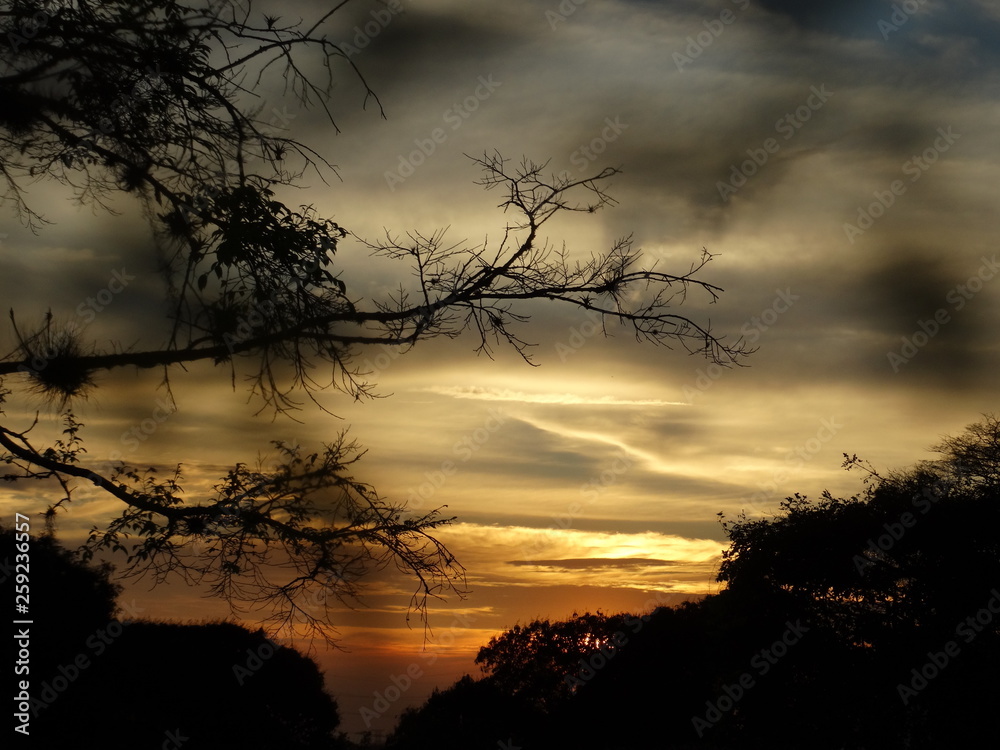 Fototapeta premium Amanecer