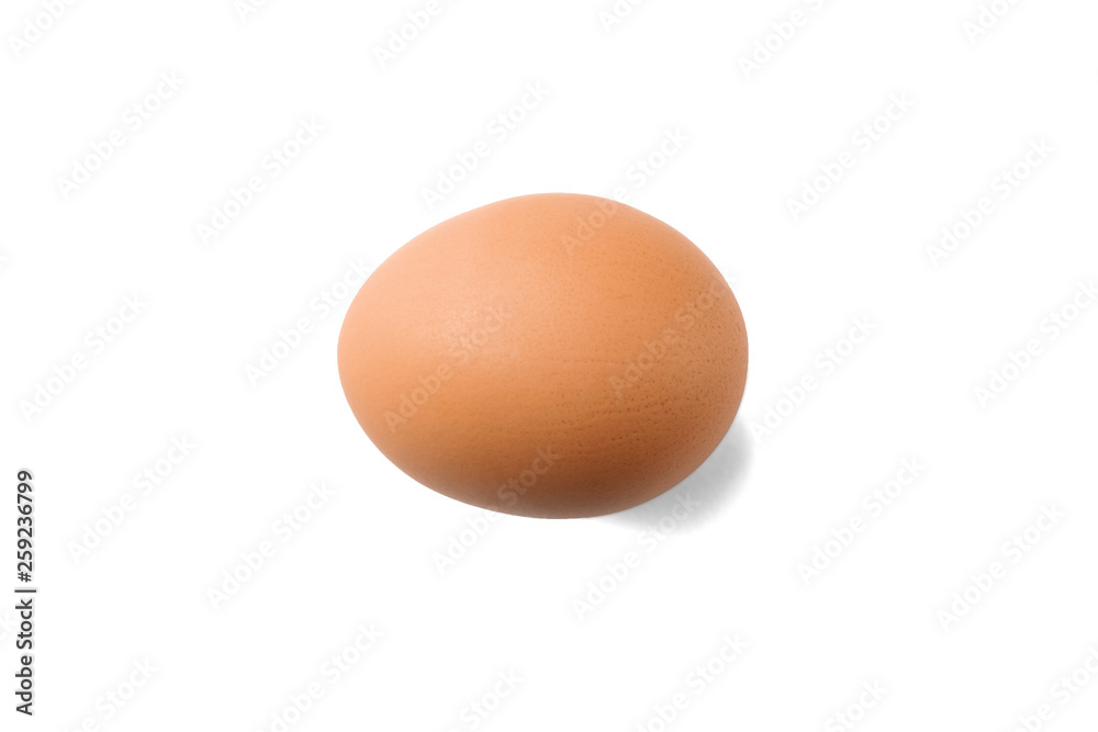 Chicken egg in horizontal position Chicken egg in horizontal position