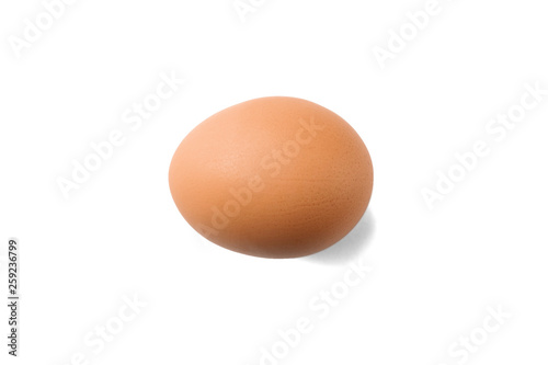 Chicken egg in horizontal position