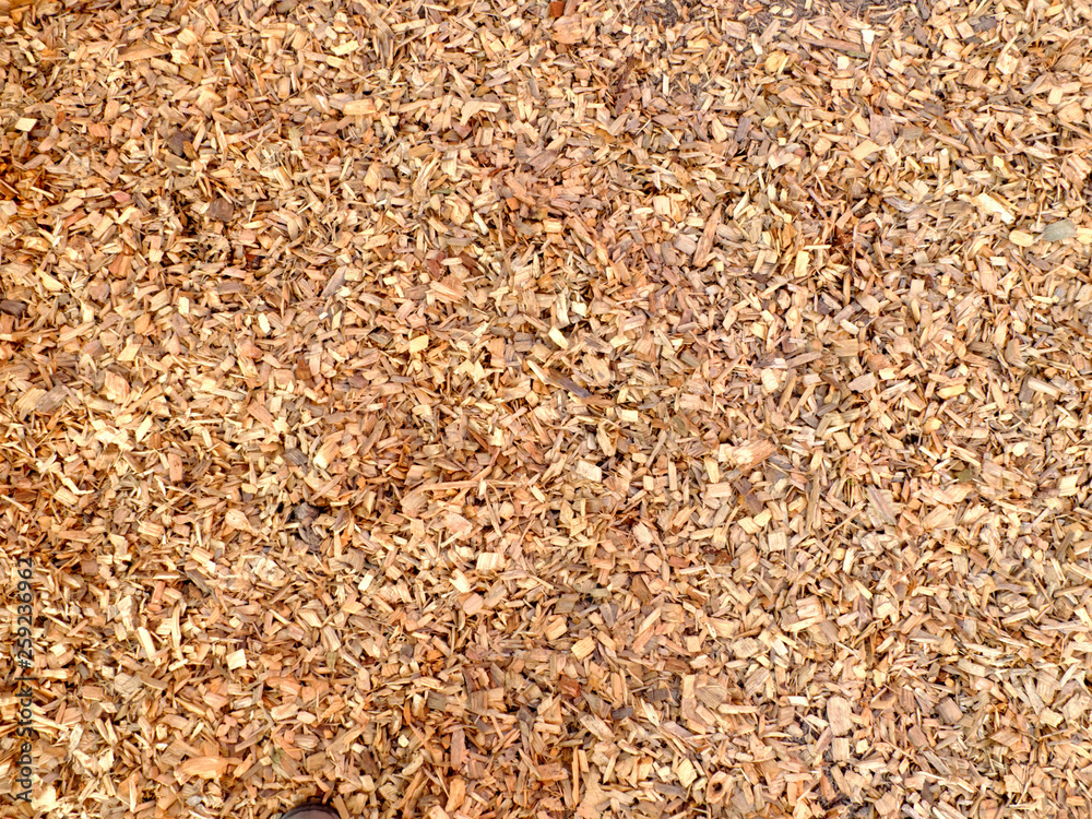 Sawdust background texture in a sunny day outdoors. Sawdust background texture in a sunny day outdoors.