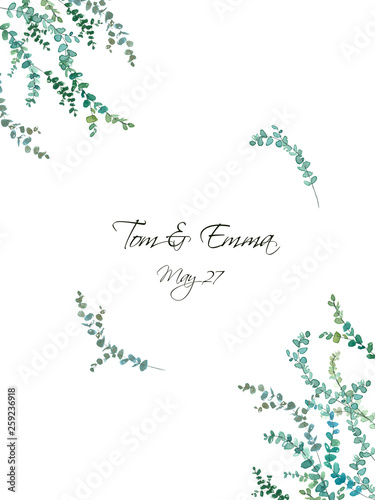 Watercolor eucalyptus drawing  for minimalistic wedding template. Hand painted plants  branches  leaves on white background. Greenery wedding invitation. Natural card design.