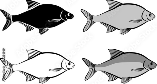 Quadro su tela bream - clip art illustration and line art