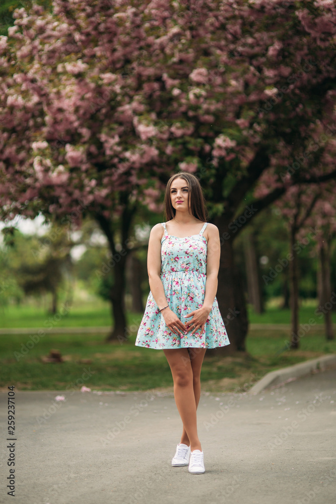 Beautiful girl in dress stand by the pink blooming tree Beautiful girl in dress stand by the pink blooming tree