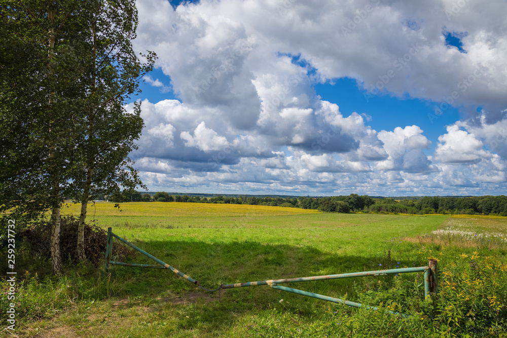Entrance to the harvest field. Warm and cloudy summer day