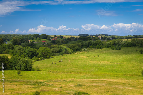 Green hill valley at warm summer day